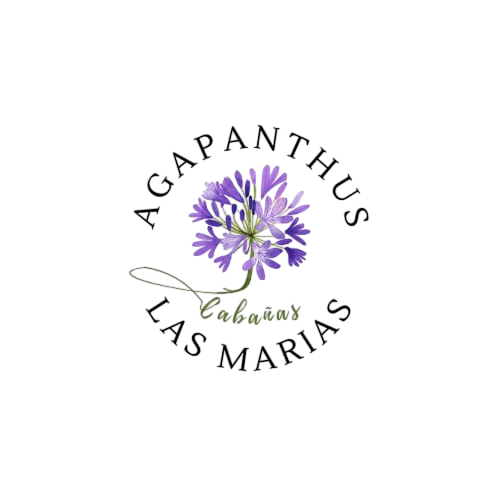 www.agapanthuslasmarias.com favicon